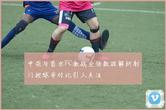 申花与首尔FC激战全场数据解析射门控球率对比引人关注